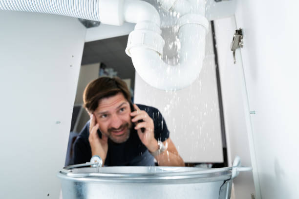 Best Commercial Plumbing Services  in Fort Denaud, FL