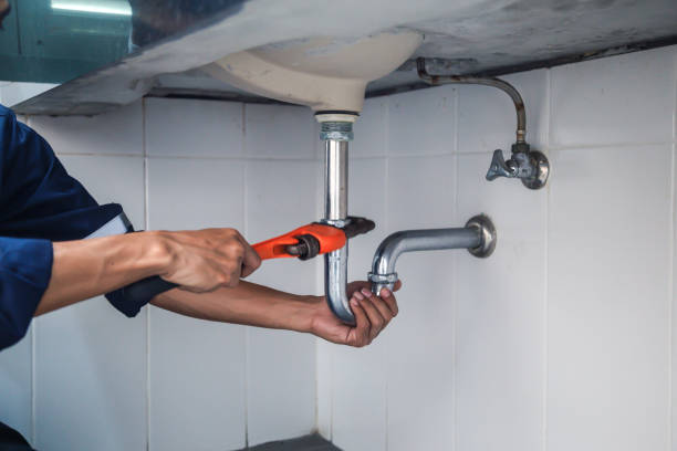 Best Residential Plumbing Services  in Fort Denaud, FL