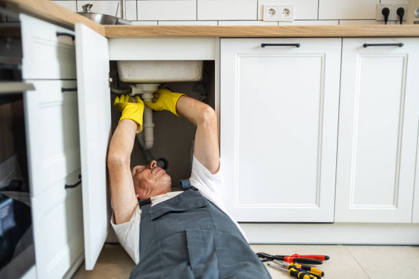 Best Water Softener Installation  in Fort Denaud, FL