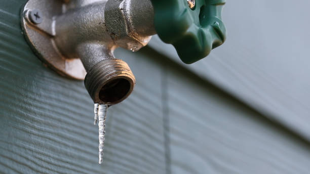 Best Plumbing Inspection Services  in Fort Denaud, FL