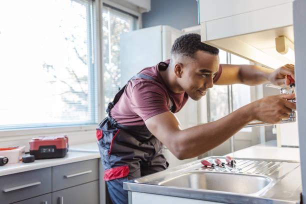 Best Affordable Plumbing Services  in Fort Denaud, FL